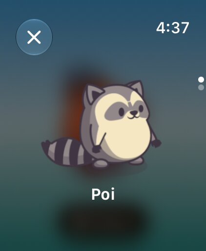 A capybara named Momo on Apple Watch.